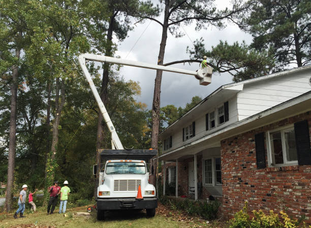 Best Storm Damage Tree Cleanup  in Bessemer City, NC